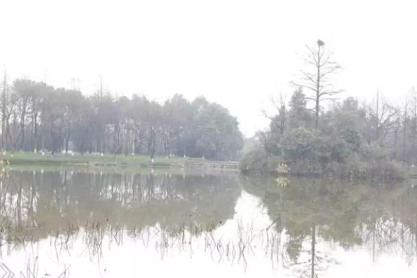 640.webp.jpg 640.webp.jpg