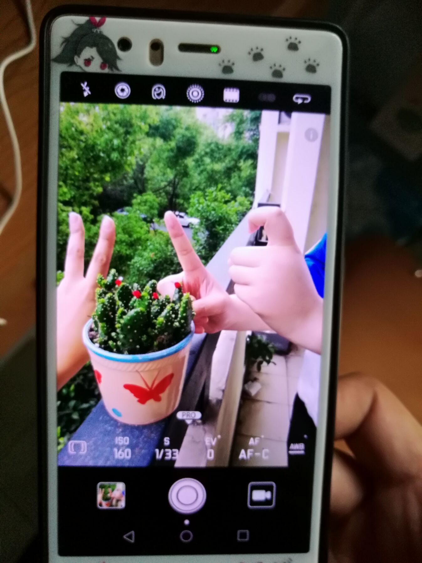 胖虎之家1.jpg 胖虎之家1.jpg